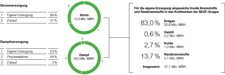 Energieversorgung der BASF-Gruppe 2015 (Tortendiagramm)