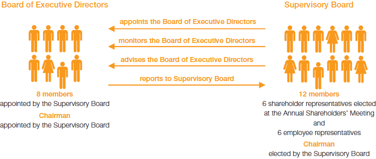 Two-tier management system of BASF SE (graphic)