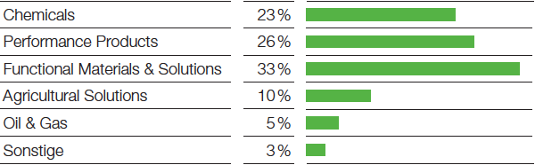 Anteil der Segmente am Umsatz (Balkendiagramm)