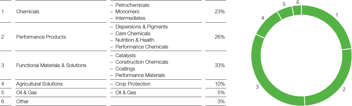 BASF structure – Percentage of total sales in 2016 (pie chart)