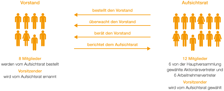 Duales Leitungssystem der BASF SE (Grafik)