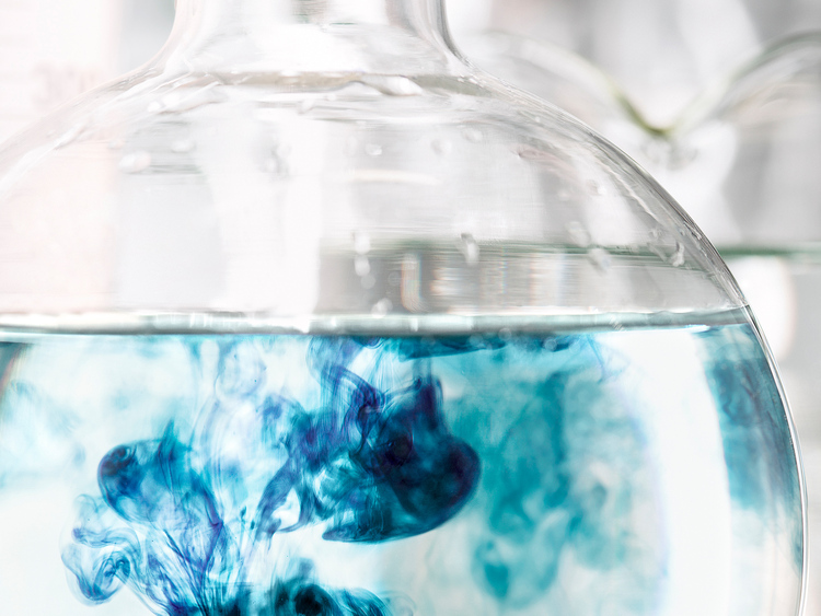 Segment Performance Products (Foto)