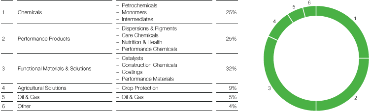 BASF structure – Percentage of total sales in 2017 (pie chart)