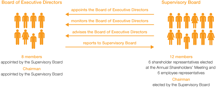 Two-tier management system of BASF SE (graphic)