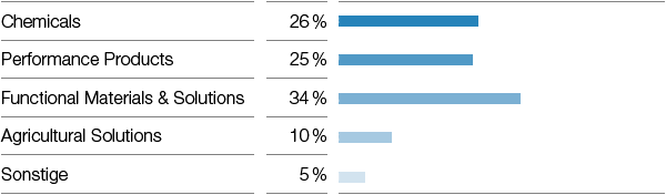 Anteil der Segmente am Umsatz (Balkendiagramm)