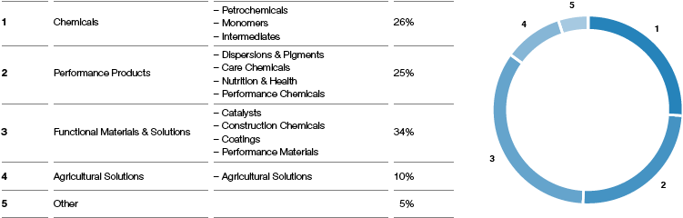 BASF structure – Percentage of total sales in 2018 (pie chart)