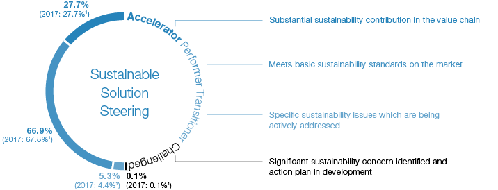 Sustainable Solution Steering® (graphic)