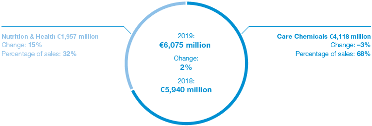 Nutrition & Care – Sales (pie chart)